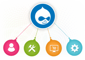 Web Peppers Drupal Application Development