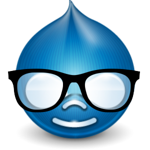 Web Peppers Drupal Developer