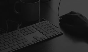 drupal development