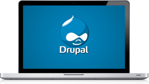 Website Support Drupal