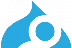 Drupal 8 | Web Peppers Drupal development dervice