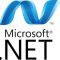.NET Development Company | Web Peppers