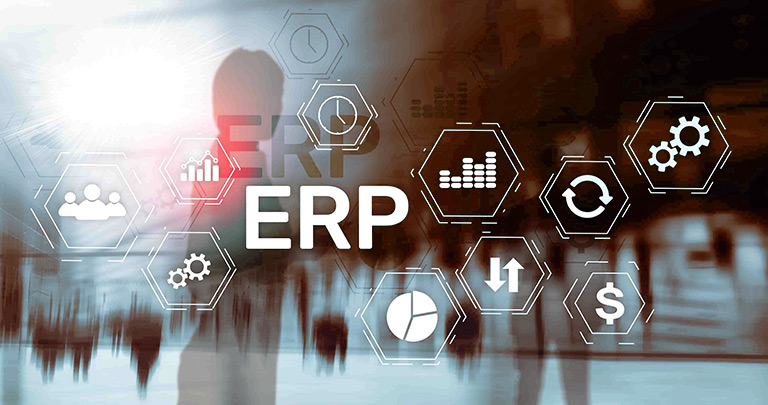 ERP software | Web Peppers